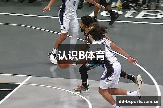 认识B体育